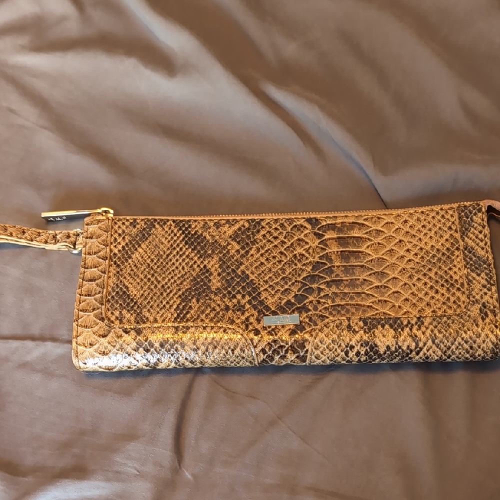 Mango Gold Snake Print Clutch